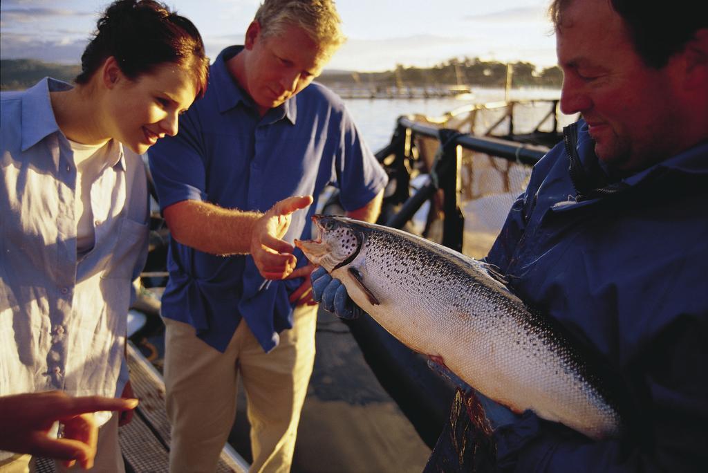 Kermandie Hotel Port Huon 外观 照片